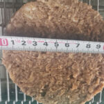 burger forming machine