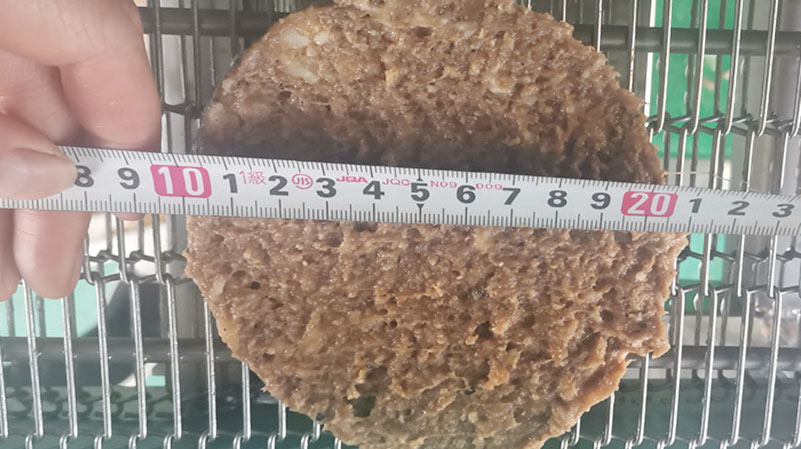 burger forming machine