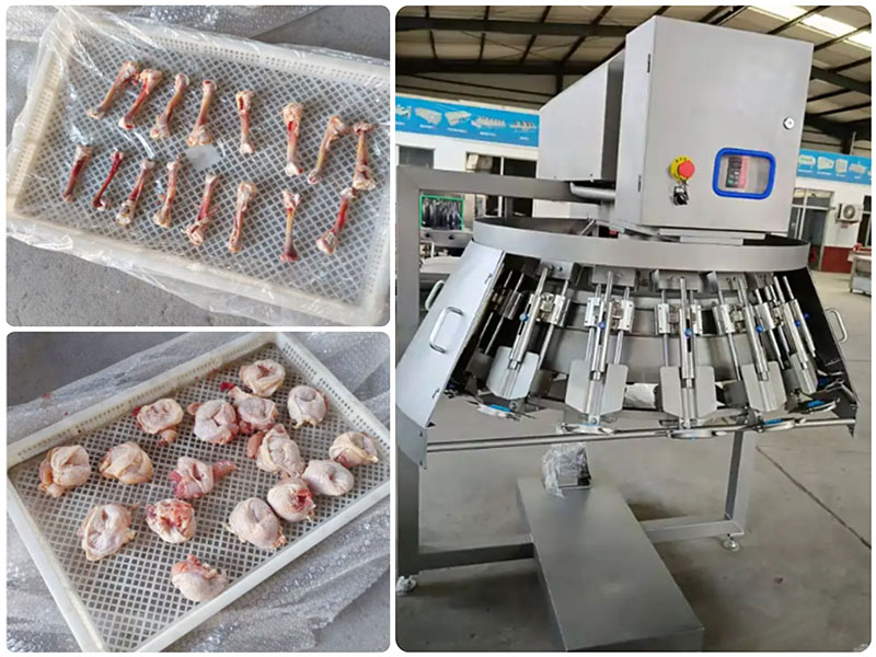 chicken leg deboning machine effect