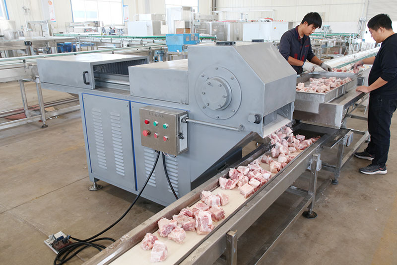 frozen meat crusher details in factory